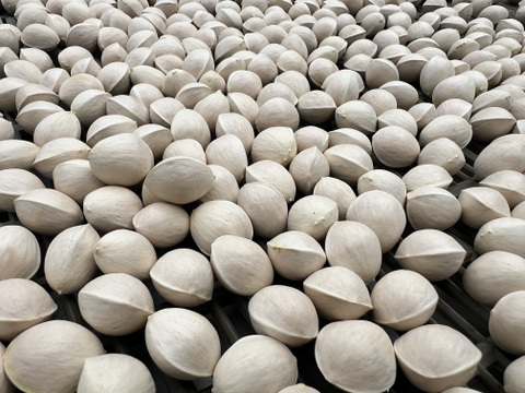 【愛知県発】
今の旬『こだわりの銀杏』2００ｇ×５ｐ