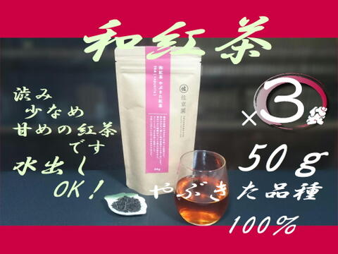 〈3袋セット！〉お湯はもちろん水出しも美味！【和紅茶】　やぶきた紅茶　50g×3袋　農カード付！