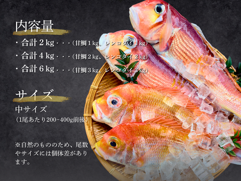 【白身魚の食べ比べ】甘鯛 × レンコダイ セット（合計６kg）