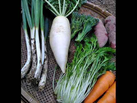 野菜ソムリエがお届け*季節のお野菜詰め合わせ(6-7品)