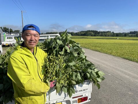 【毎朝収穫中！】枝豆 えだまめ フルーツ枝豆 2kg 秋田県産 横手市産 まるで果物！甘くておいしい 産地直送 農家直送 朝穫れ