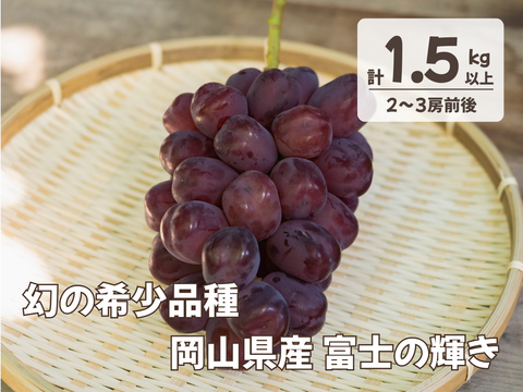 お中元 お盆 シーズンにお届け可能 幻の希少品種 富士の輝 き 2房～3房 1.5キロ以上お入れ致します