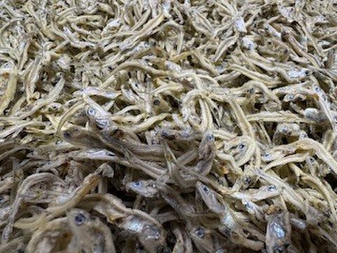 いつもより乾燥し、塩分控えめ ちりめん　お徳用　１ｋｇ　かえりより小さいちりめんより大きい