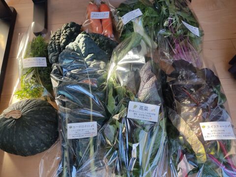 ✨世界に一つだけのプレミアム野菜便（農薬・化成肥料不使用）✨あなたの「欲しい」が詰まった一箱。わがままを叶えるオーダーメイド野菜便🥬