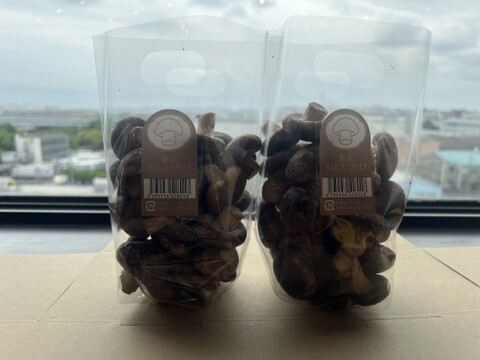 東京福【ちいたけ】おいしさそのまま使いやすいミニサイズ(500g袋詰め)