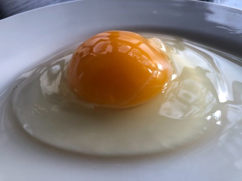 【6個】オメガ３が普通の卵の４倍！24時間放牧養鶏卵(1パック)アローカナの産む幸せの青い卵、下田ブルー！！