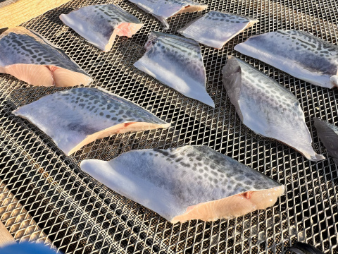 旨さの暴力★活〆鰆のひもの