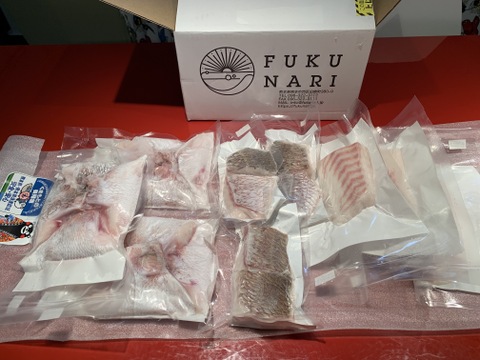 【福袋2026】絶品！真鯛セット！