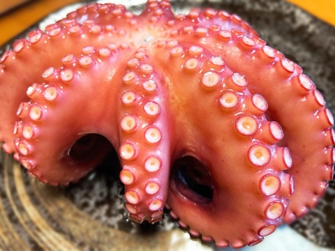 香りまで美味い 濃厚な旨味あふれ出す自慢の味 日間賀島たこ Mサイズ 愛知県産の魚介類 食べチョク 産地直送 産直 お取り寄せ通販 農家 漁師から旬の食材を直送