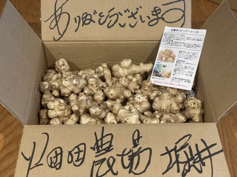 〈スーパーフード／自然栽培〉 皮ごと美味しく健康♪ 自然栽培 菊芋３kg【2022年度SDGｓエバンジェリスト認定取得】