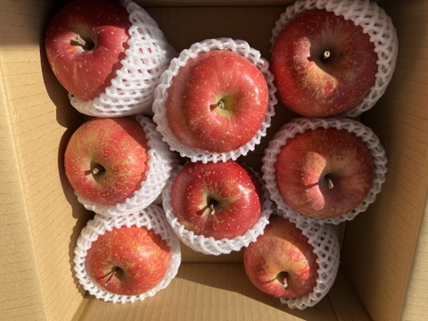 【🍎サンふじ】 大玉8個 (3㎏・家庭用)