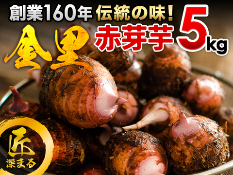 創業160年の最高品質！里芋 赤芽芋 5kg 宮崎県都城産 ホックリ美味しい里芋「セレベス」