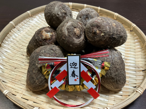 12/22まで受付⭐️お正月用 発送期間限定⭐️掘りたて❗愛媛産 純白の里芋 3㎏