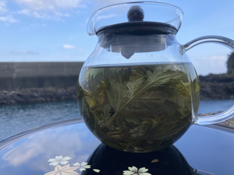 【よもぎと長命草の最強コラボ茶】屋久島産　完全農薬不使用　7g×3包　お茶の素