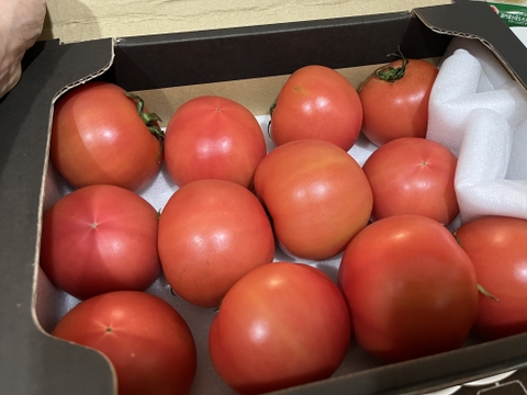 〈正品〉 【北海道産】🍅樹上熟3段採り🍅桃太郎トマト2kg箱満杯詰め