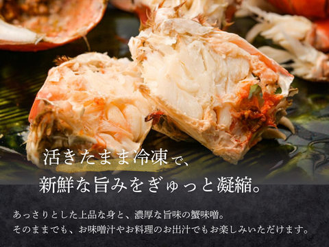 【特大サイズ】アサヒガニ　1kg ｜迫力満点＆濃厚味噌！宮崎直送