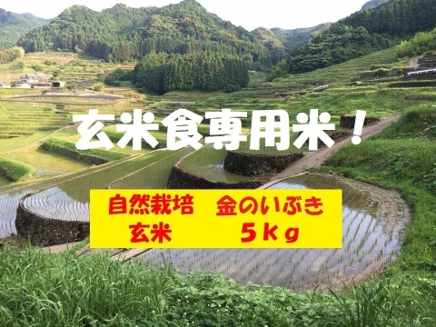 【新米】【令和６年産】自然栽培「金のいぶき」玄米　５ｋｇ　＋　高オレイン酸大豆１ｋｇ