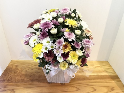 白菊とカラーマムのお供えアレンジメント