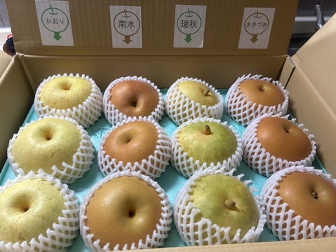 美味しい梨！ わくわく複数品種詰め合わせ 約5kg