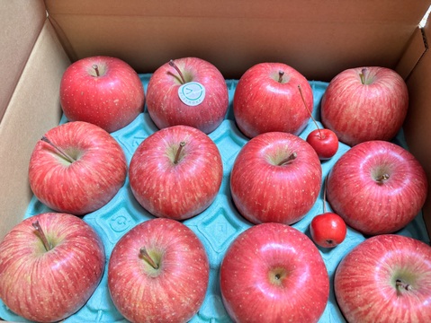 【ふじ】りんごの王様！【贈答規格3kg】