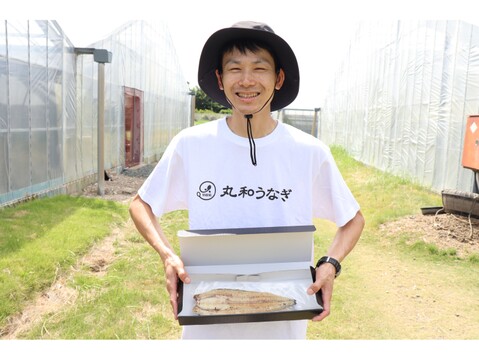 【2025年度新仔！】丸和うなぎ白焼き(大サイズ) X 2尾　※1尾 155g【冬ギフト】