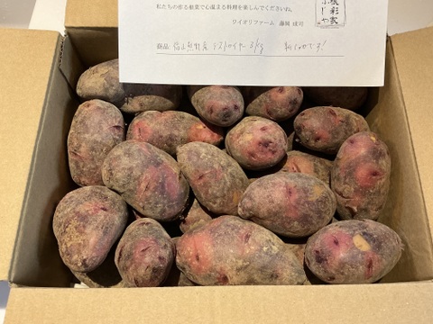 【新じゃが】農薬・化学肥料不使用！
山の赤土で育った赤じゃが「デストロイヤー」3キロ。