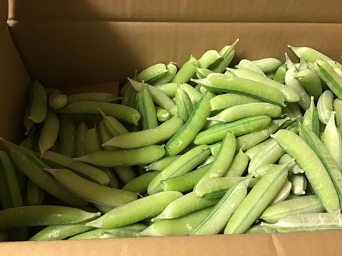 関西の春を告げる味わい　うすいえんどう 2kg