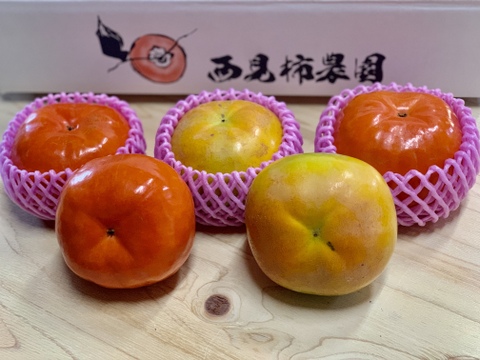 【今月限定】サクサク太秋柿・ジューシー早秋柿の詰め合わせ(5kg)