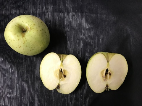 青森県産りんご「王林」家庭用 キズ有 約5kg【甘い】