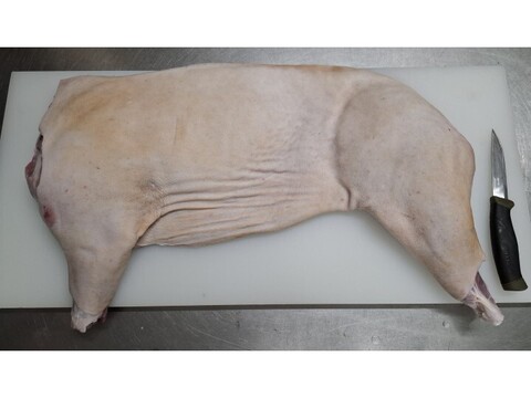 ◎！！大特価！！◎【丸焼き用　半身】やわらか仔イノシシ【皮付き・骨付き】4800g