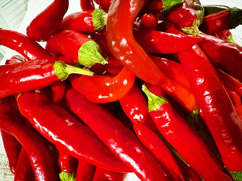 【訳あり】ぴり辛で最高にウマい！国産韓国唐辛子（総量300g）農薬・化学肥料不使用