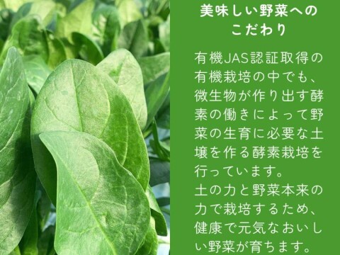 有機JAS認証取得『有機ほうれん草パウダー 50g』 野菜 パウダー オーガニック 農薬無散布 無添加 有機JAS認証取得