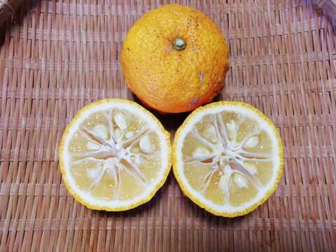 ユズ（完熟）１㎏【農薬化学肥料不使用】【あわせ買い可】【熨斗(のし)対応可】