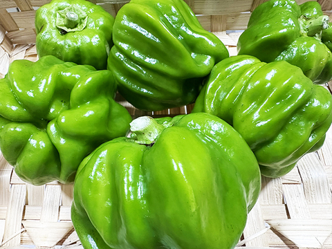 【お試し】伝統の味！ぼたんこしょう（約200g）農薬・化学肥料不使用