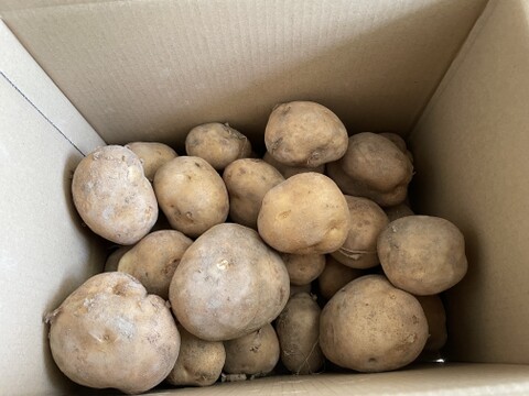 北海道産】 ニシユタカ 10kg：北海道産のニシユタカ｜食べチョク｜産地