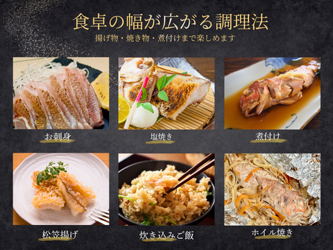 【白身魚の食べ比べ】甘鯛 × レンコダイ セット（合計６kg）