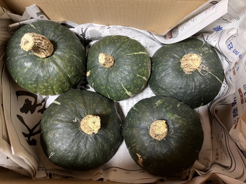 自然栽培冬至用坊ちゃんかぼちゃ2kg4-6玉