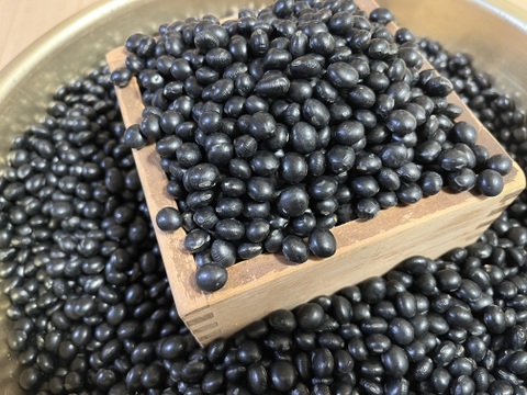 有機黒豆　中生光黒4kg　北海道 十勝産　オーガニック（有機） 2025年産 手選別