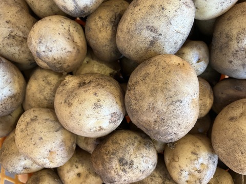 増量中！【北海道産】新じゃが(男爵)2.5㎏＋ビーツ1.8㎏＋インゲン350g！