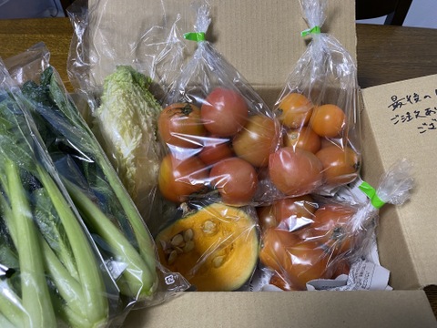 中玉トマトたっぷり🍅入【はねだしでお得】自然栽培野菜セット