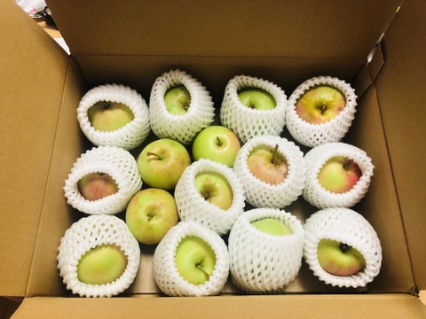 【完熟大中】お供え用りんご【予約販売】祝（いわい）・大中（だいなか）約2.7Kg🍏青森県産【数量限定】懐かしりんご