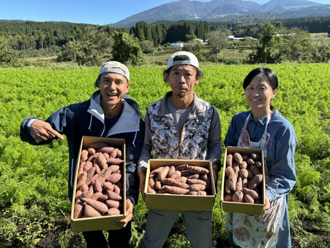 鹿児島のさつまいもはそのやま農園　“さつま紅はるか”　実はファン多いミニミニSサイズ   今シーズンも貯蔵物がおいしくスタート！　今年は掘りたてからおいしい→貯蔵して超絶おいしい！10ｋｇ　有機ＪＡＳ