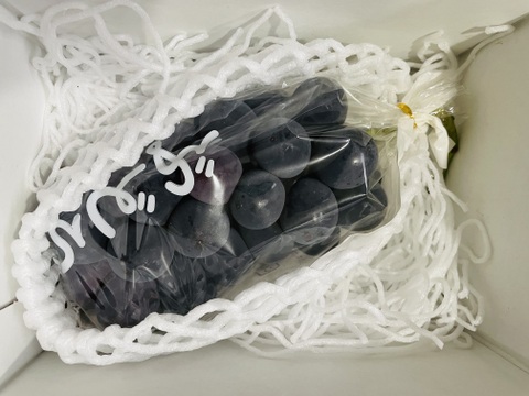 【農薬節約栽培】種なし巨峰 　1房（約450g）