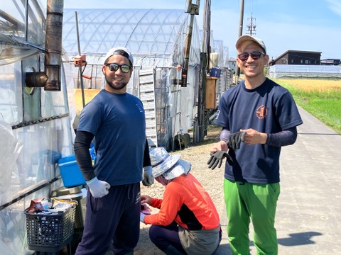 大大満足！″新″【冷凍イチゴ】３kg