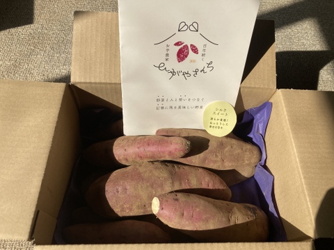 熟成シルクスイート　土付きMサイズ4kg