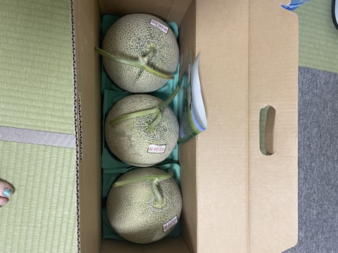 ギフトに大人気 【北海道メロン】 3玉入り　大玉