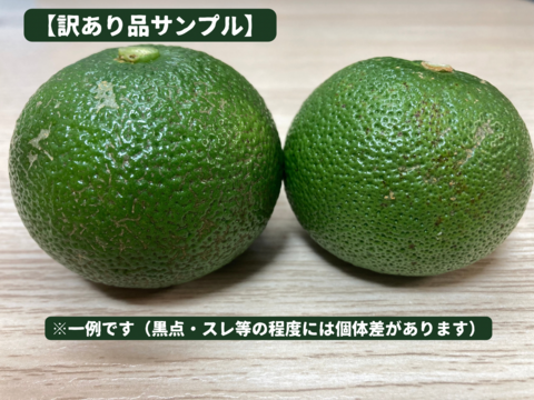 ※訳あり品　長門ゆずきち【栽培期間中農薬不使用・自然栽培米の米ぬかと畑の草でマルチをして育てています】約１
kg（まずはお試しに）料理人が惚れ込んだ、山口県の希少な香酸柑橘