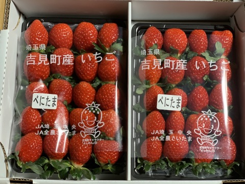 【新品種べにたま】２パック(560g) ついに解禁🍓