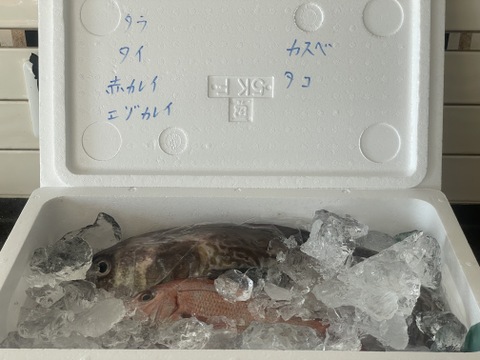 ９月スタート！【最大１ヶ月待ちになります🙇】🐟未利用魚🐟️訳ありを安くお得に！漁師の分け前セット３㎏程度