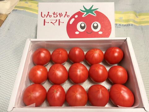 完熟トマト　糖度7～8度　約750ｇ　高知県産